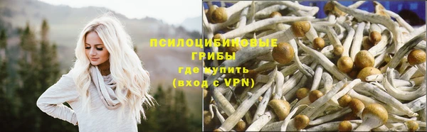 каннабис Алзамай