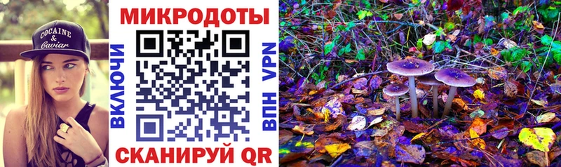 Псилоцибиновые грибы Psilocybe  сайты даркнета формула  Струнино 